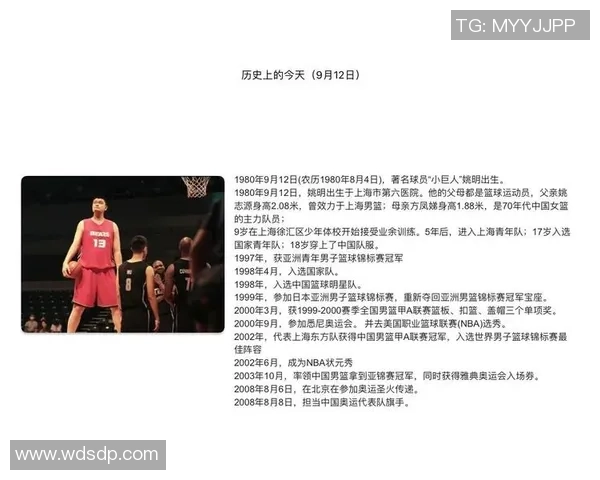 野兽般姚明的传奇之路与篮球世界的震撼影响力