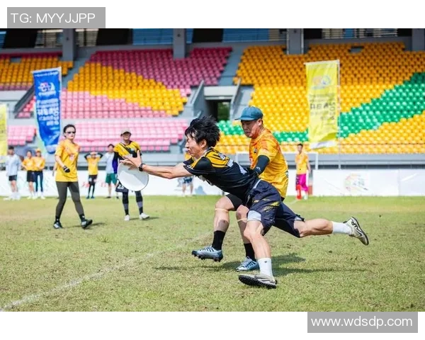 重庆飞盘队的节奏与激情探索飞盘运动的魅力与发展之路